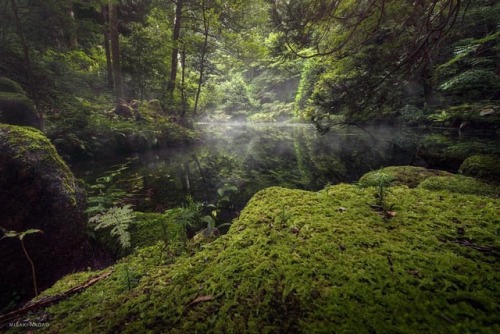quiet-nymph:Photography by Misaki Nagao@長押し