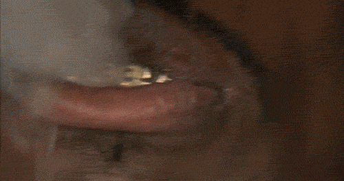 this-aint-george-foreman:  I. NEED. $. 