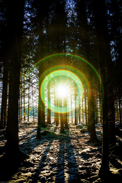 1wantchange:  flare 