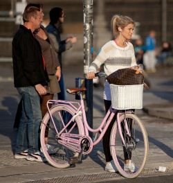 razumichin2:  Cycle chic in Copenhagen with