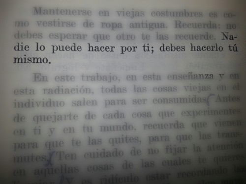 novembersevennth:  Tu felicidad no es responsabilidad de nadie más que tuya. 