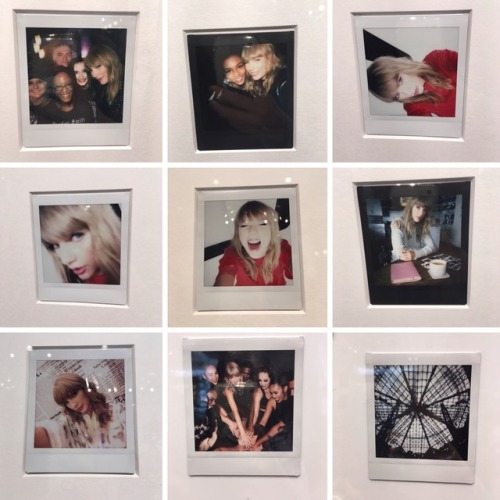 makiko1213tay: makiko1213tay: Now or Never instax Gallery is held in Tokyo and the films are THE BES