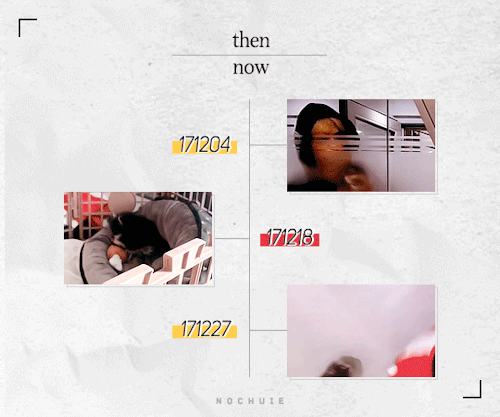 Yeontan Timeline