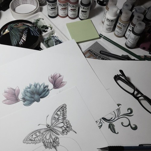 So many projects on the go…. goodnight! #emmalinebailey #nzartist #illustration #butterfly 