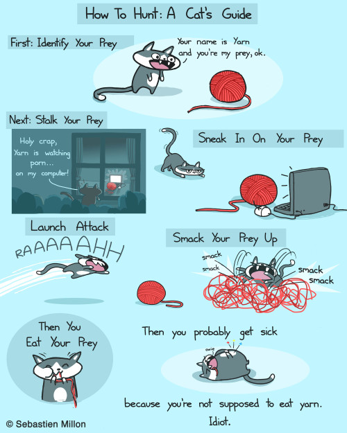 sebastienmillon:  “How To Hunt: A Cat’s Guide”