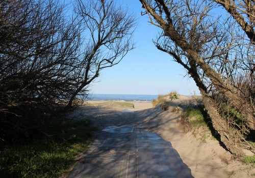 letslivebythesea:  Ocean and Beach Posts