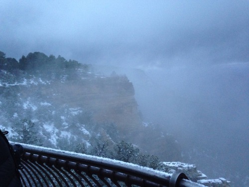 Grand Canyon… My first time here and it’s gorgeous.