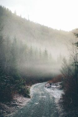 tumhblr:  nature / vintage