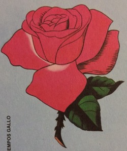 La Rosa