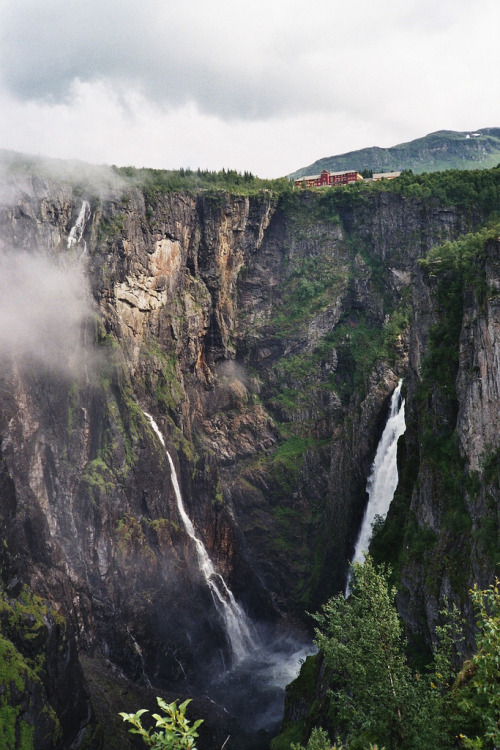 nature and vintage