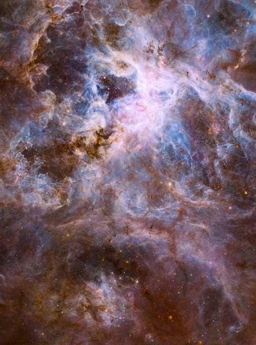 The Tarantula Nebula, also known as NGC 2070, was thought to be a star until in 1751 when Nicolas Lo