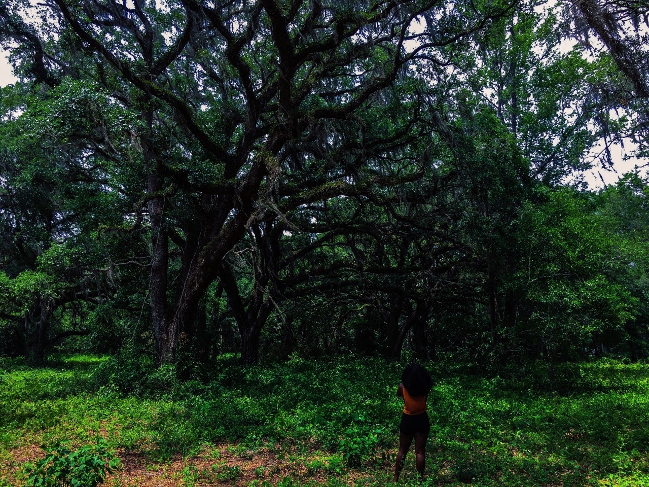 manifestvibrations:We got lost and found Utopia