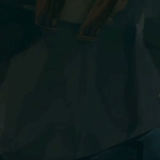 incognitomoustache:  I have always really really adored the Rito people’s design.