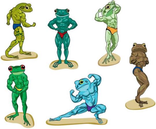 deepdiccpizza:  have you guys seen my bfs?my BUFF FROGS