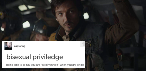 andorandrook: Cassian Andor + bisexuality test posts(more rogue one + text posts (X))