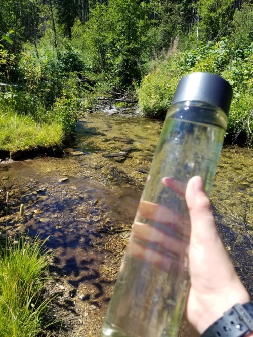 Went hiking with my boyfriend to gather plants and steam water!