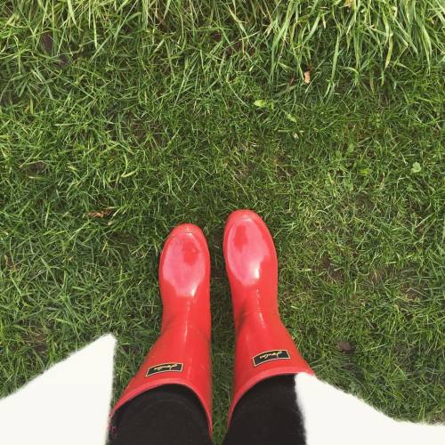 Perfect excuse to get these out #wellies #wellingtons #boots #red #joules #walks #donnington #donnin