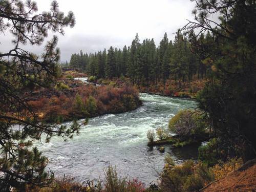 Pretty chilly and wet day here on the trails of Bend. Feeling a little sad to be leaving here tomorr