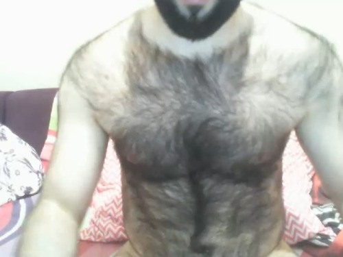 tumblr photo littleotter4hairyman 1