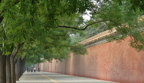 The Long Wall&hellip;.. The western wall of Zhongnanhai government compound along Fuyou Avenue looki