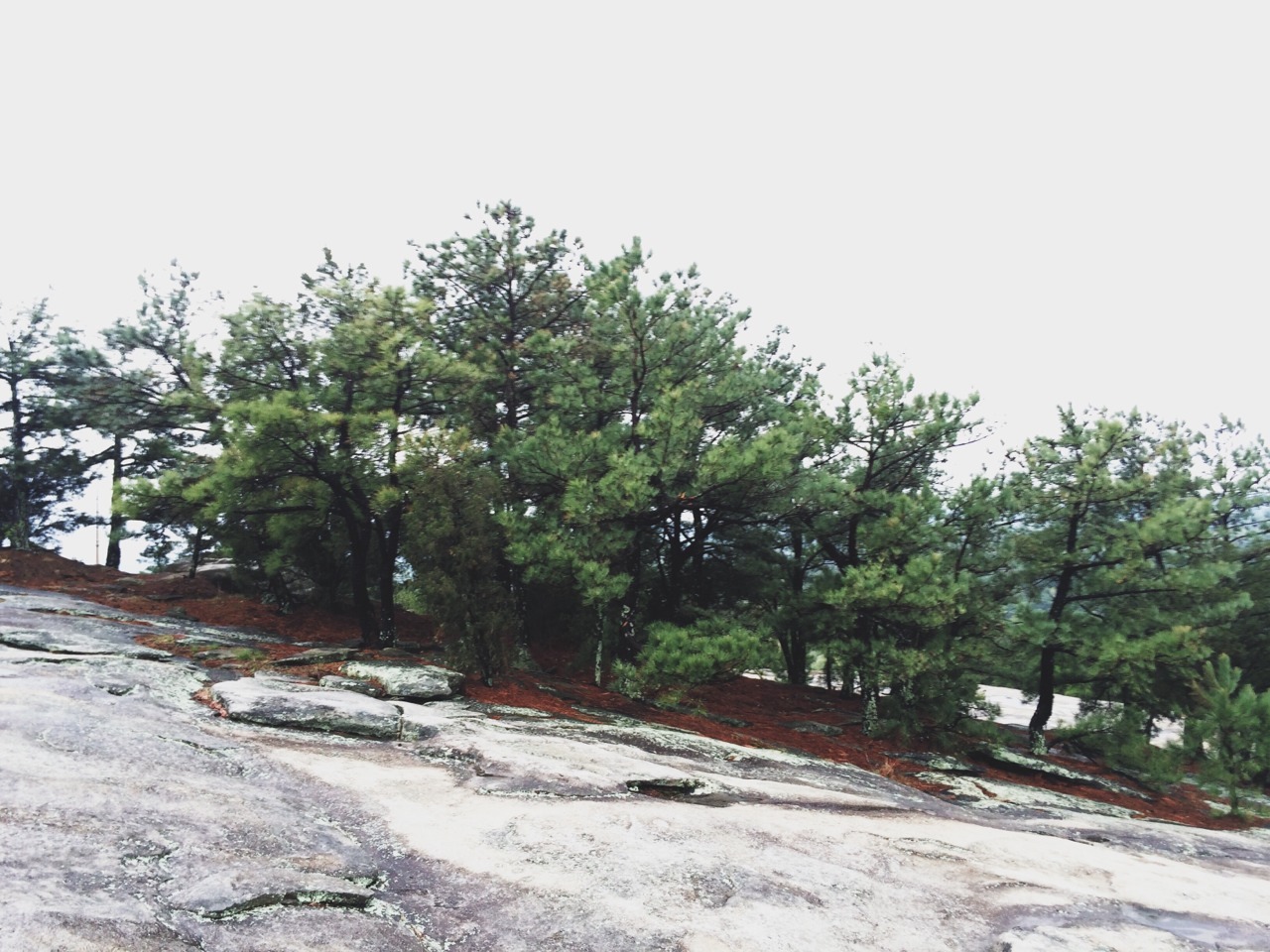 secretofthetrees:  Stone Mountain Georgia