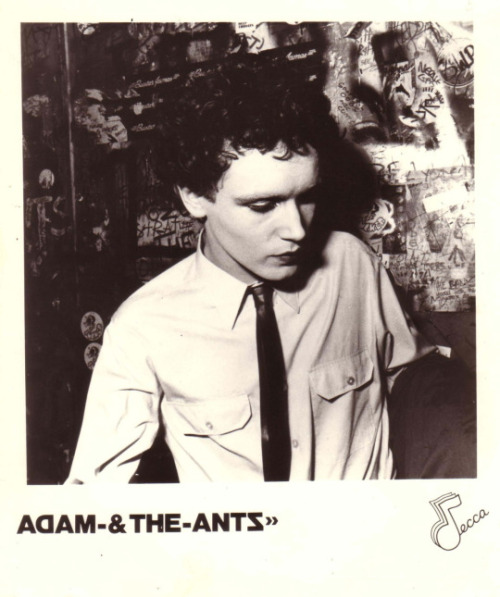 robogiggles: Adam Ant !