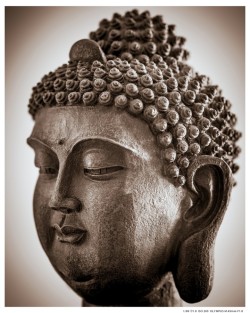 otherworldbuddha:  Buddha Head Via gregmcdadeOther World Travel