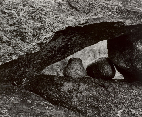 joeinct:Martha’s Vineyard, Photo by Aaron Siskind, 1954