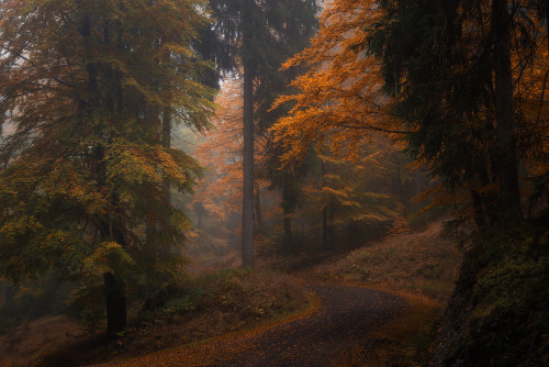 virtuallyinsane-autumn: “Those dark autumn days” by Heiko Gerlicher / CC BY-NC-ND 4.0