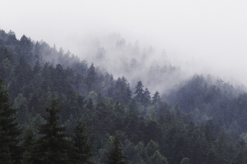 Misty mountains of Heddal by Heli Berg Blog | Facebook | Instagram