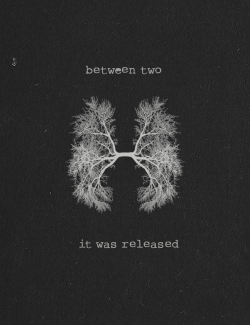 theillusionsofahopelessheart:  Florence + The Machine TypographyBetween Two Lungs 