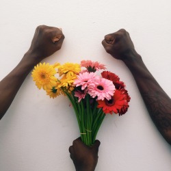 valleyhoodlum:  Black Flower ✊🏿💐  they’re all so pretty.