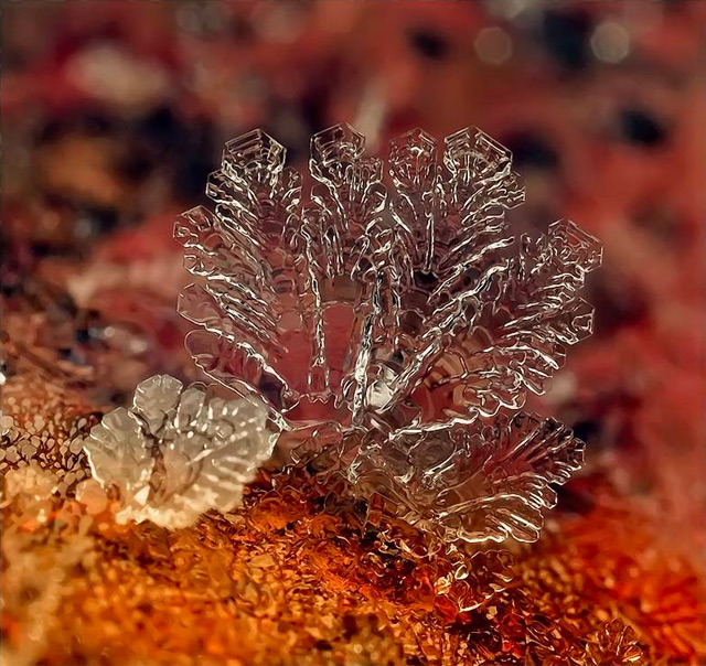 the-star-stuff:  Remarkable Macro Photographs of Ice Structures and Snowflakes Russian