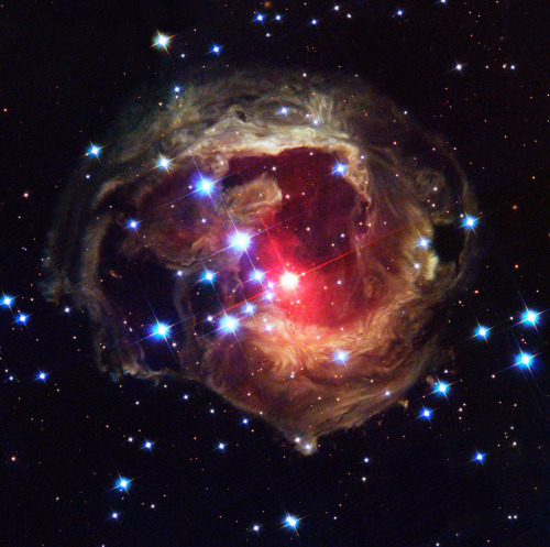 just–space:  Image of the star V838 Monocerotis  reveals dramatic changes in the illumination of surrounding dusty cloud structures. The effect, called a light echo, has been unveiling never-before-seen dust patterns ever since the star suddenly