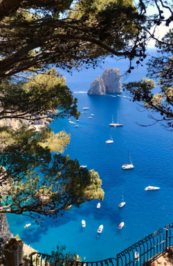 lavishlawyer:  Magical Capri, Italy.