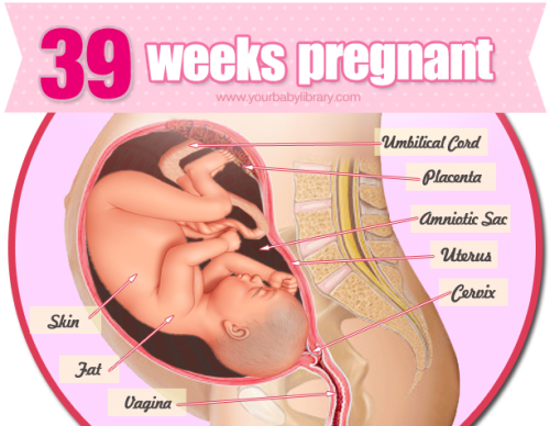 You’re 39 weeks pregnant! Any day now you’re going to give birth to your new baby! At this time in t