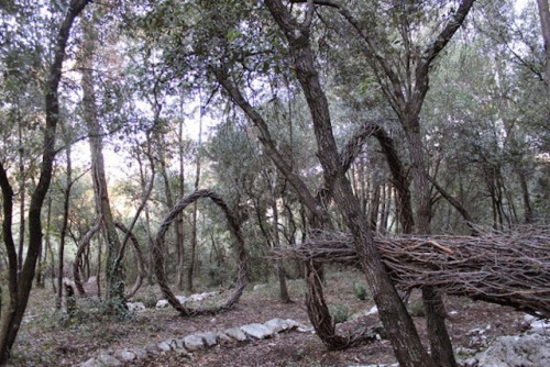 jedavu:  Forest Sculpture by Spencer Byles 