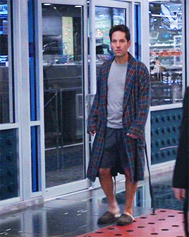 Fashion Of The Mcu | Ant-man And The Wasp Scott Lang + Plaid Bathrobe