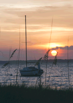 Tumblr's Largest Collection of Sailing Blogs