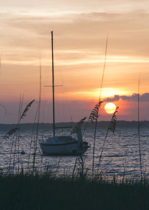 Tumblr's Largest Collection of Sailing Blogs