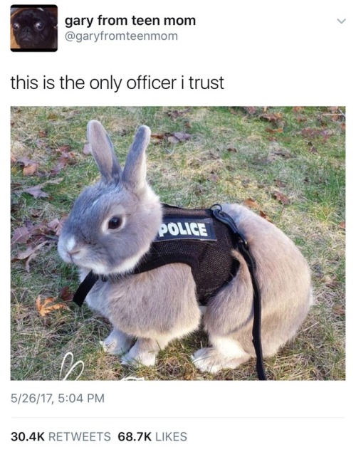 m86:aint this that bitch from zootopia