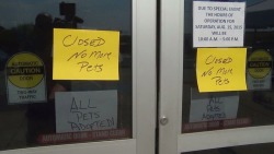 angryinkeddrunk:  the-dodo:  Best sign posted at an animal shelter … EVER.   ❤❤❤❤