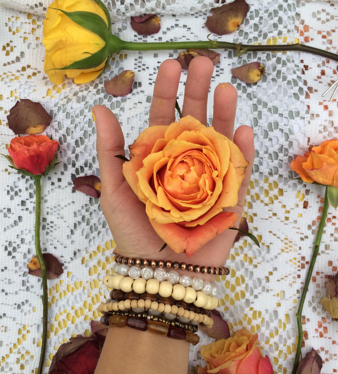 pohaberry:  Wilted &amp; Bloomed 