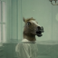 horseheaddiana