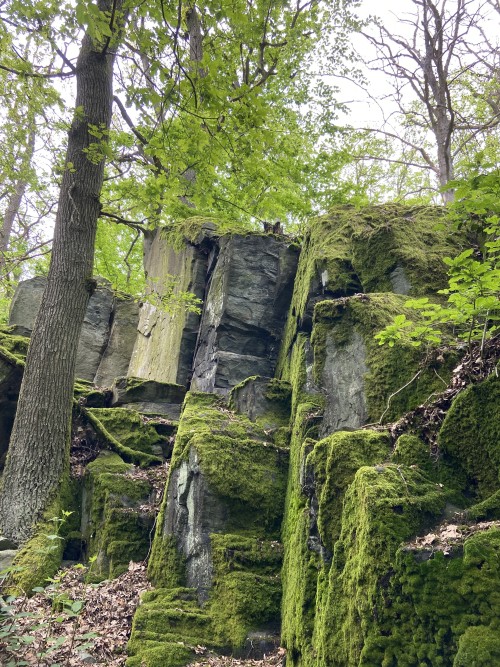 Moss All Monitor With Moss, Year Million Age Rock, Highly Folded By High Pressure Monitor With Ephemeral
