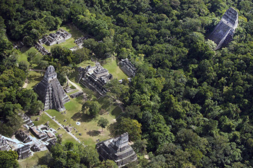 tlatollotl:Tikal, Guatemala