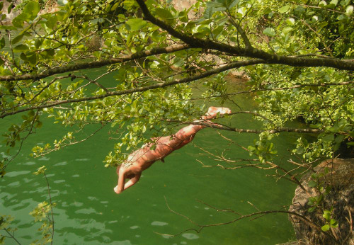 Diving into the green water.