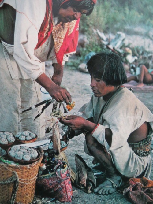 indigenous-maya:Huicholes/Wixáritari People - The Peyote Guardians