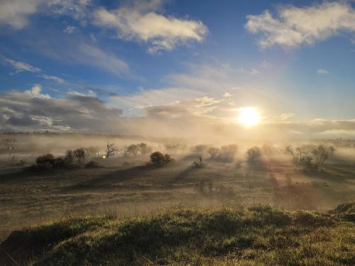 oneshotolive:  Misty morning sun in California