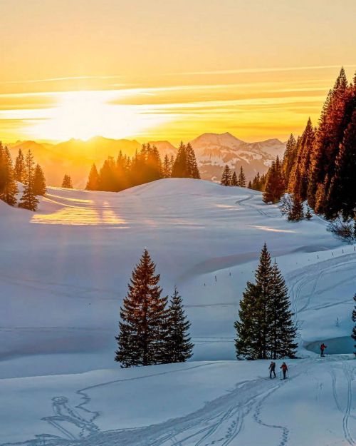 Eine traumhafte Sonnenuntergangstimmung in den Chiemgauer Alpen © @daniel_asam  #bayernliebe #s